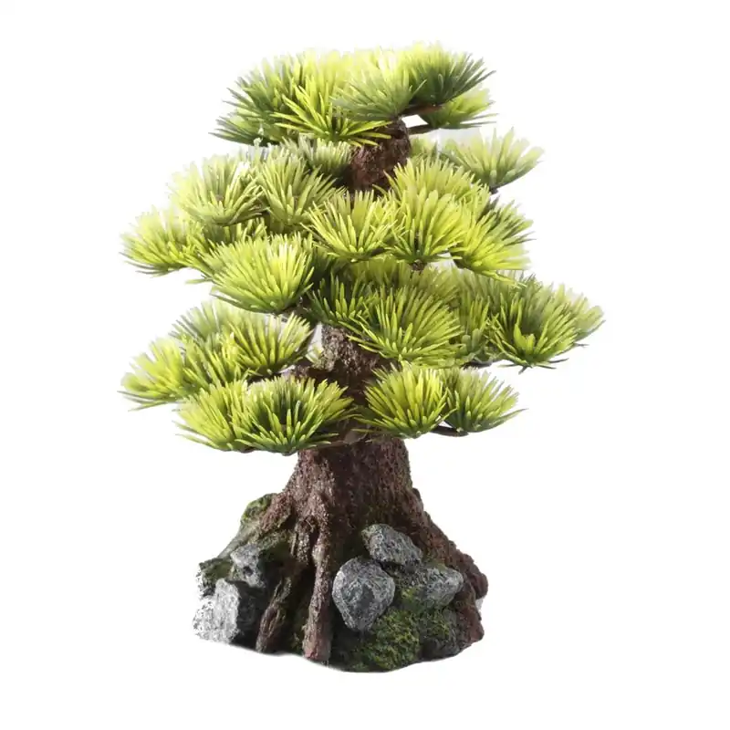 Letzte Chance AQUA DELLA Bonsai medio 15 cm